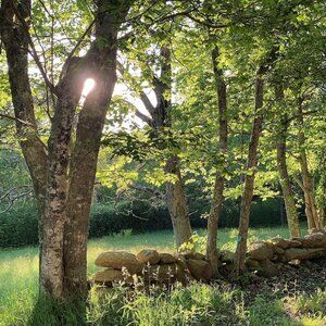 Meet your Posher, Aleigh M